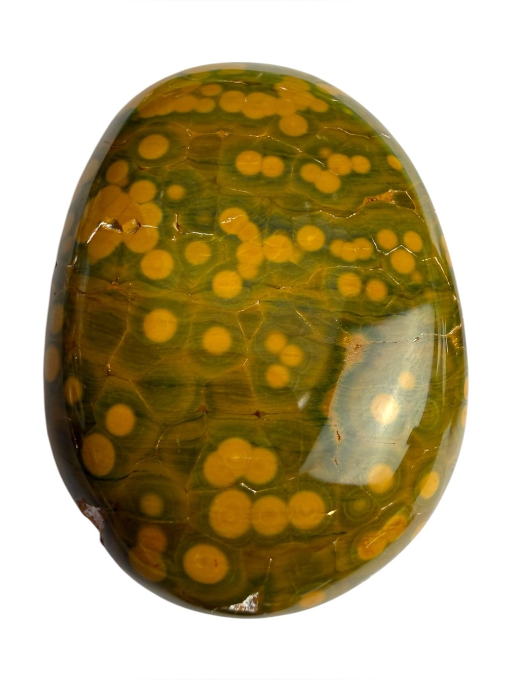 2.25” Kabamby Ocean Jasper Oblong Palmstone
